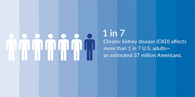 A Clear Path Through Chronic Kidney Disease Management and Support